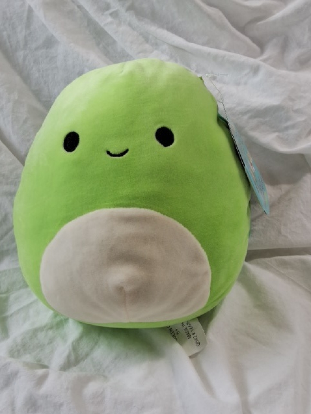 Squishmallows Henry The Turtle, NWT